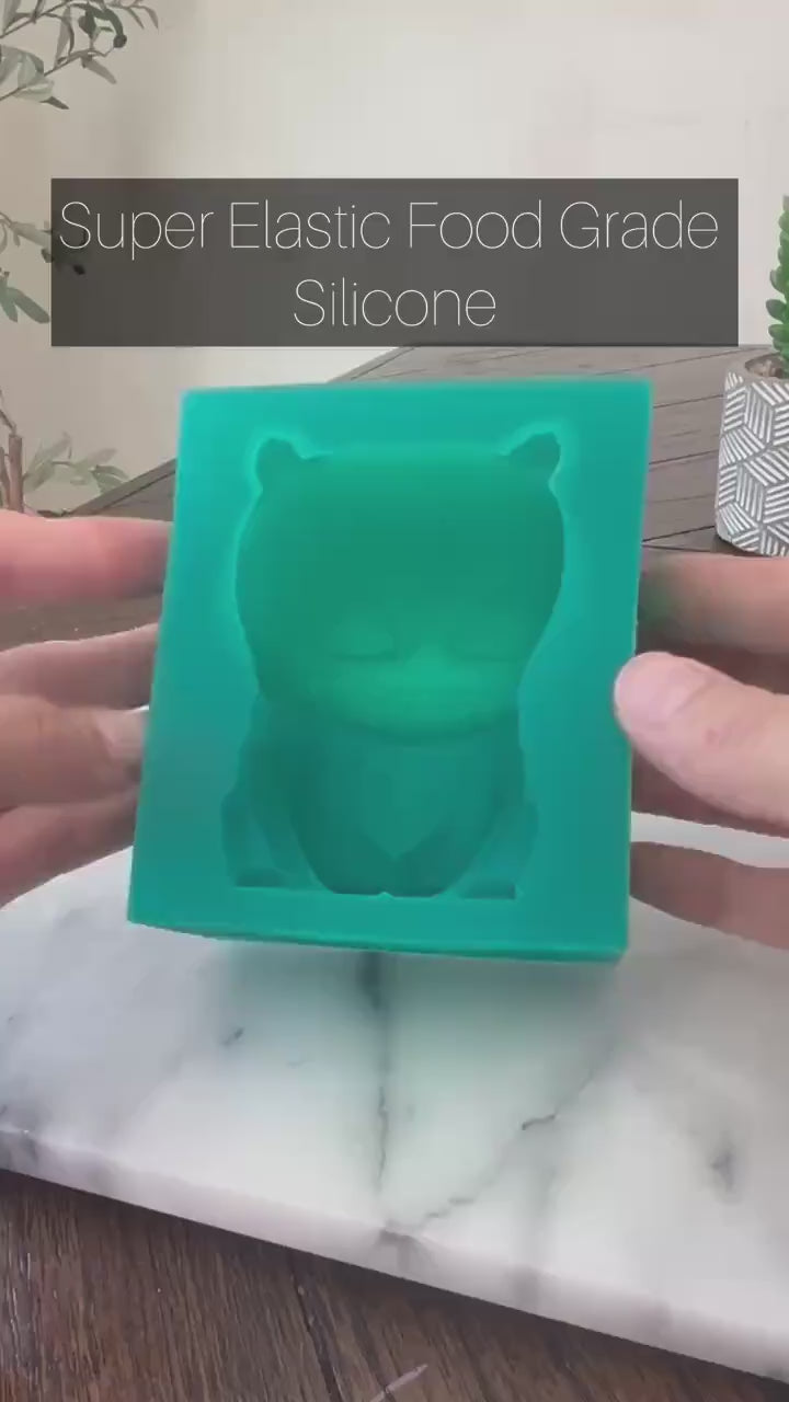 "Derpy" K-Pop Demon Hunters Tiger Silicone Mold